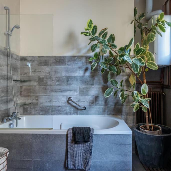 Boutique Saint Germain Apartment Paris